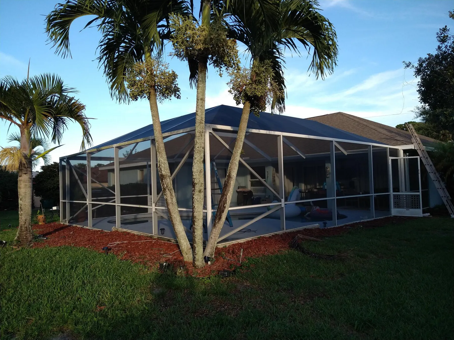 Rescreened pool enclosure behind two palm trees
